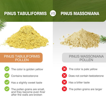 ECO-TASTE Pine Pollen Powder 6 oz | Wild Harvested Pinus Tabuliformis, 99% Cracked Cell Wall