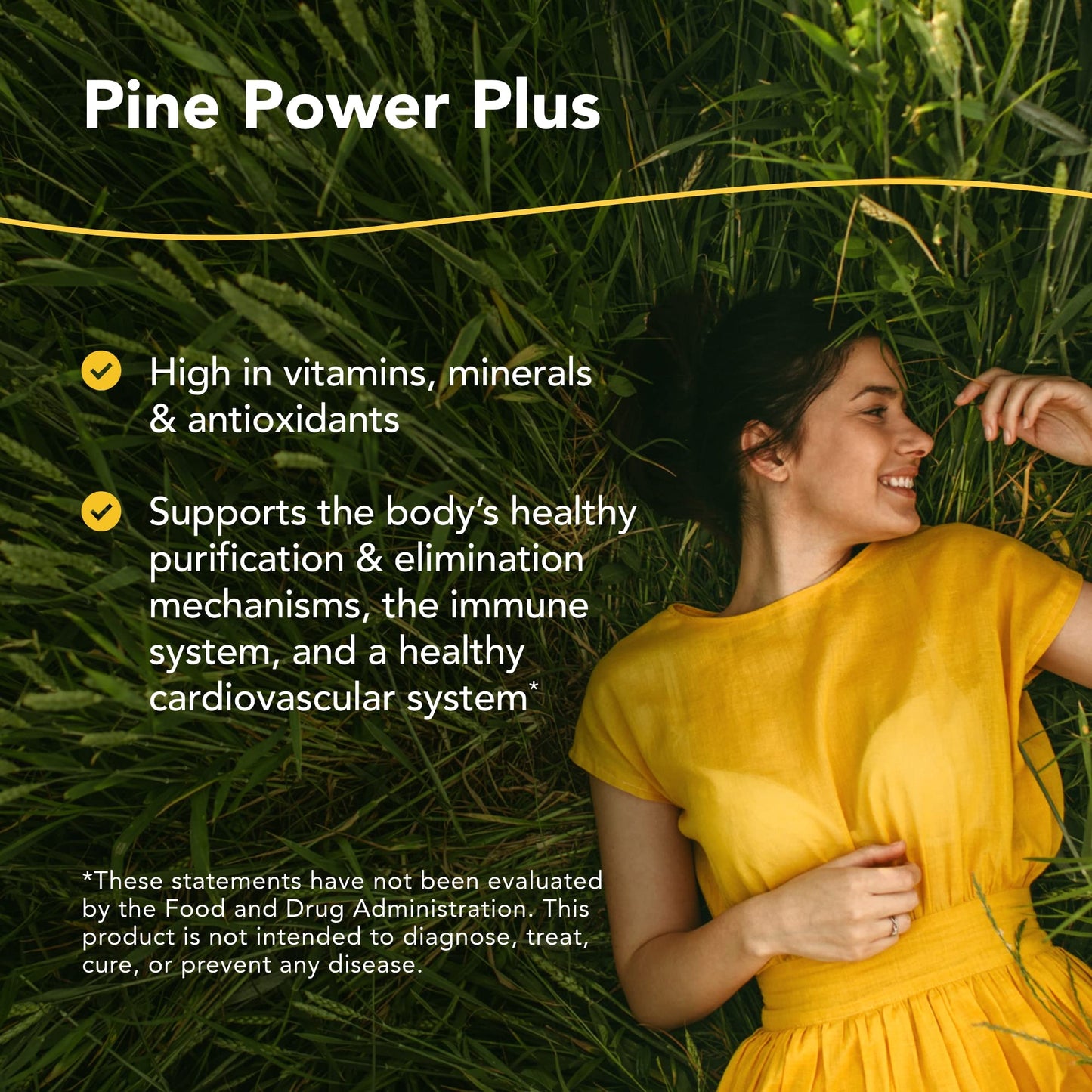 Pine Power Plus - 8 fl oz | Immune & Cardiovascular Support | North American Herb & Spice