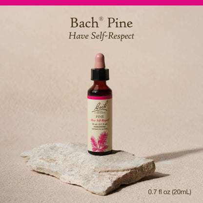 Bach Pine Flower Remedy – Have Self-Respect | 20mL Dropper