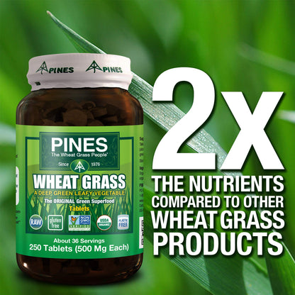 PINES Organic Wheat Grass, 250 Count Tablets | PINES Wheat Grass as featured in the new blockbuster film, Ocean's 8!