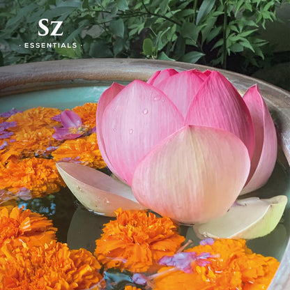 Sz Essentials Pink Lotus Essential Oil - 100% Pure, Nymphaea Nucifera, Therapeutic Grade