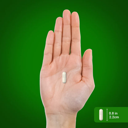 Piping Rock Green Lipped Mussel 750mg – 120 Capsules | NZ Freeze-Dried, Non-GMO, Gluten Free