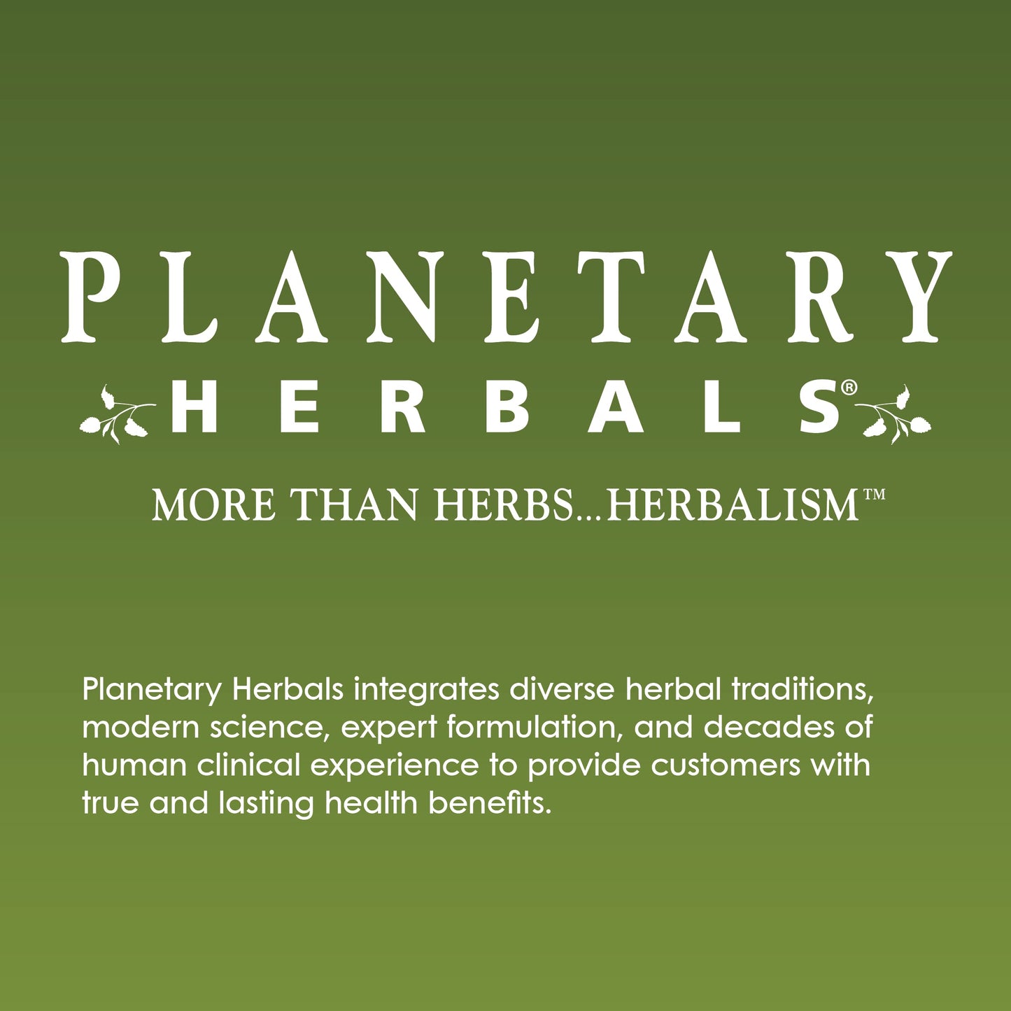 Planetary Herbals Stinging Nettle 420 mg - Full Spectrum, 120 Tablets | Sinus Support
