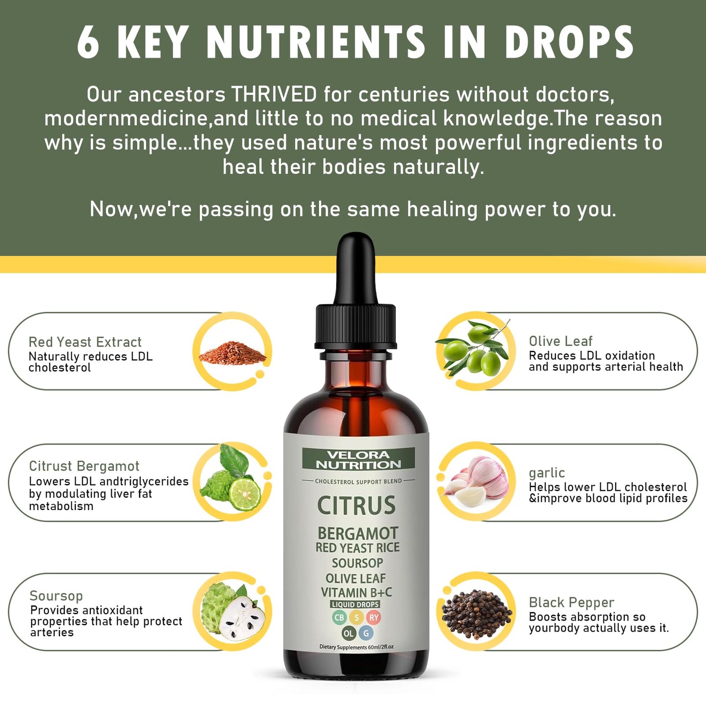 Red Yeast Rice Drops - Cholesterol Support Blend with Citrus Bergamot | 2 fl oz (60 ml)