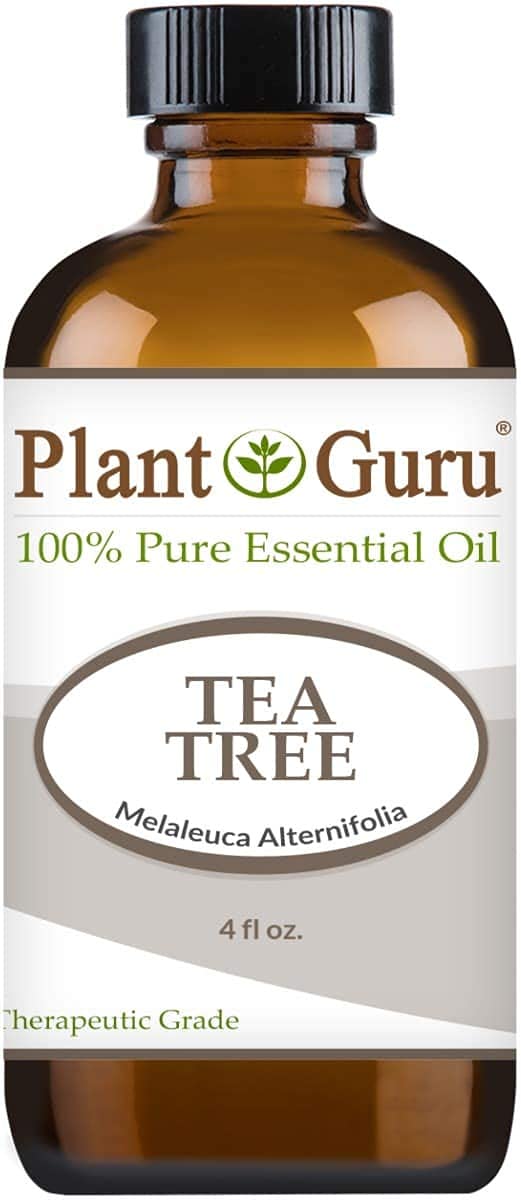 Plant Guru Tea Tree Essential Oil 4 oz – 100% Pure Therapeutic Grade (Pack of 2)