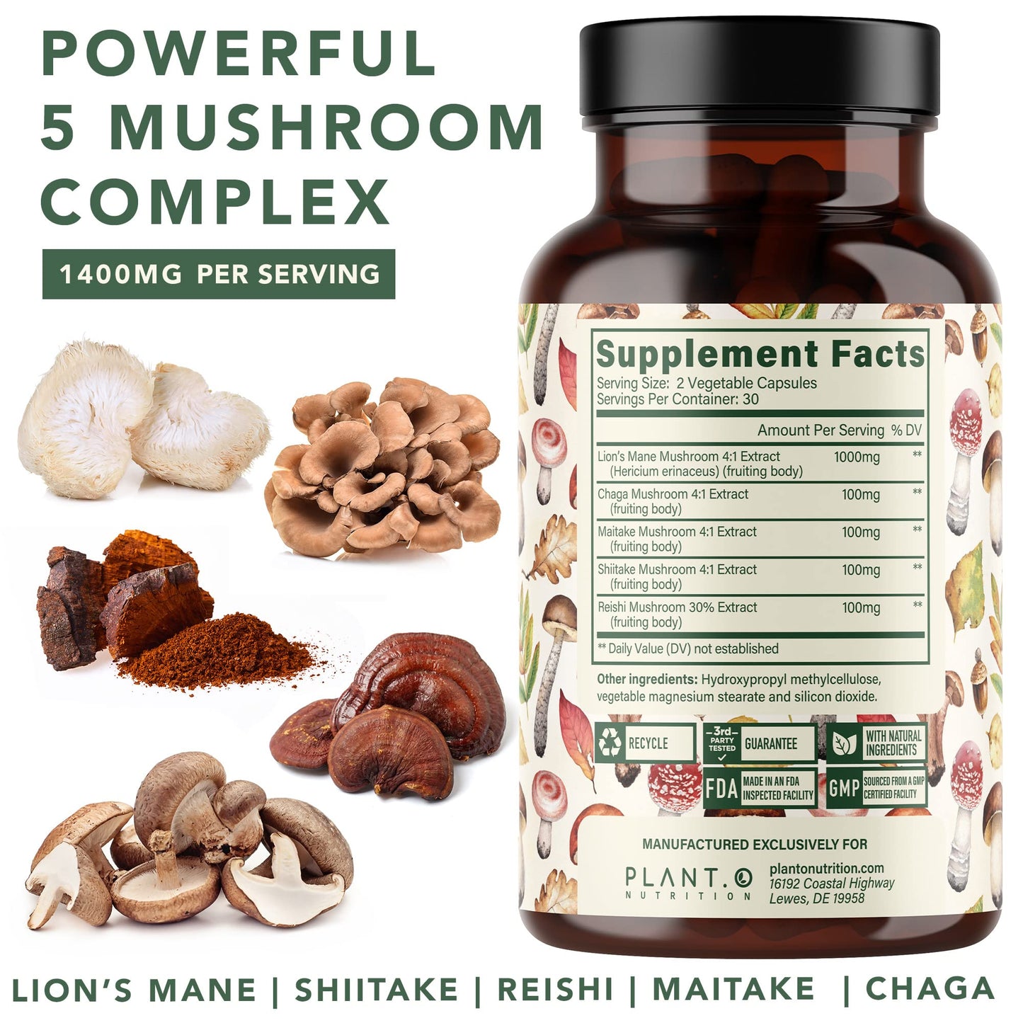 Plant.O Premium Lion's Mane 5-Mushroom Complex - Brain Support, Immunity & Focus - 90 Caps