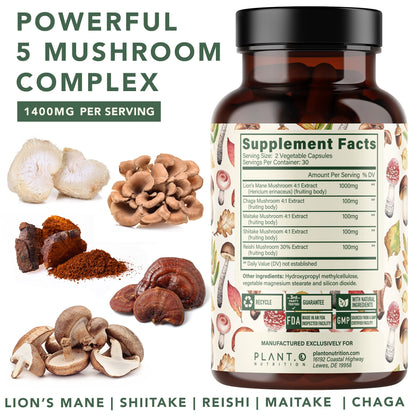 Plant.O Premium Lion's Mane 5-Mushroom Complex - Brain Support, Immunity & Focus - 90 Caps
