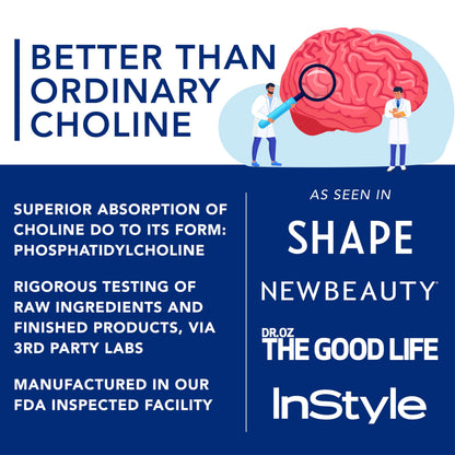 PLANT.O NUTRITION Choline Phosphatidylcholine 430mg – High Potency Phospholipid Softgels | 60