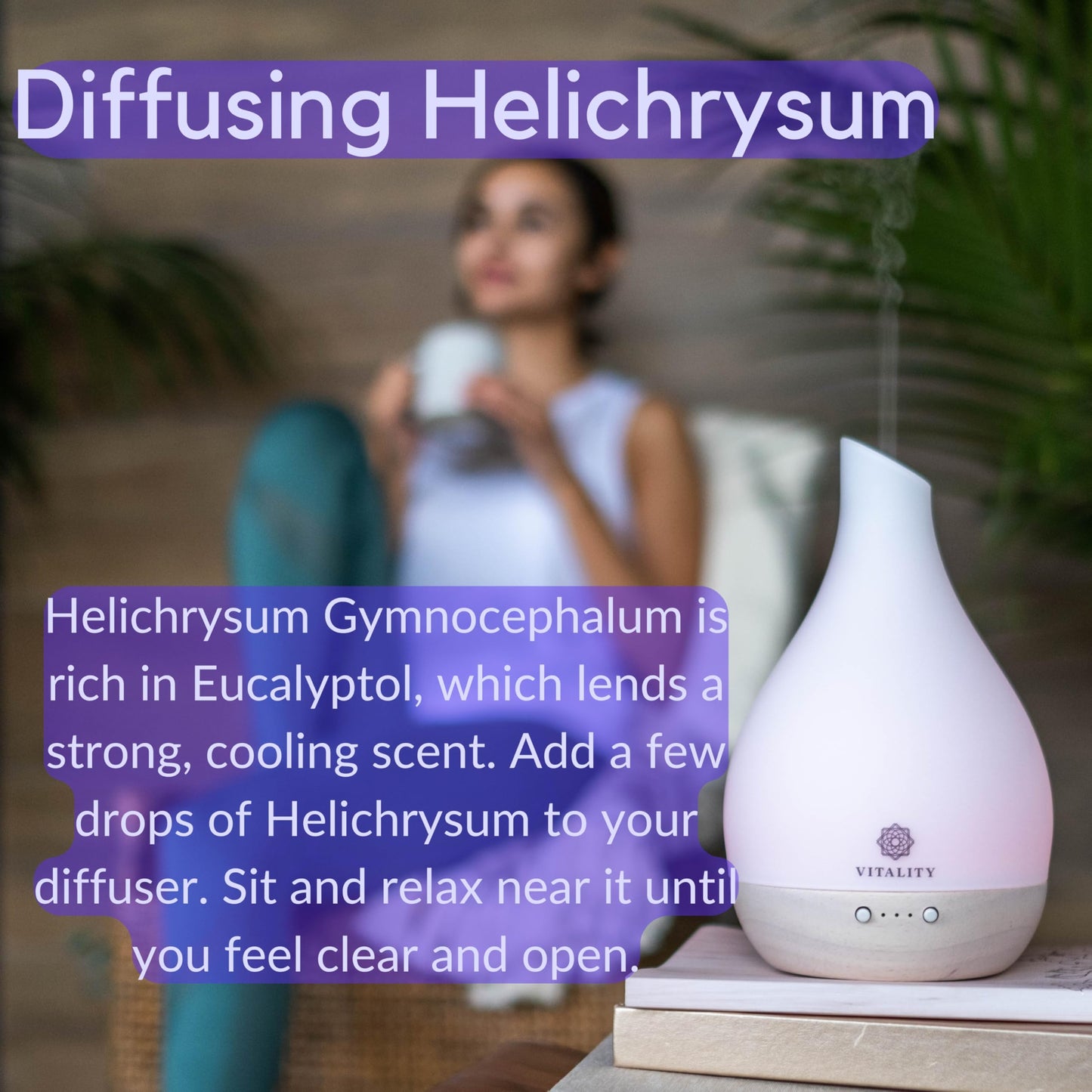 Vitality Extracts Helichrysum Essential Oil 30ml | Skin Care, Aromatherapy & Stress Relief