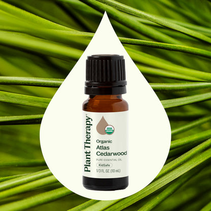 Plant Therapy Atlas Cedarwood Essential Oil – 100% Pure, USDA Organic, 10 mL
