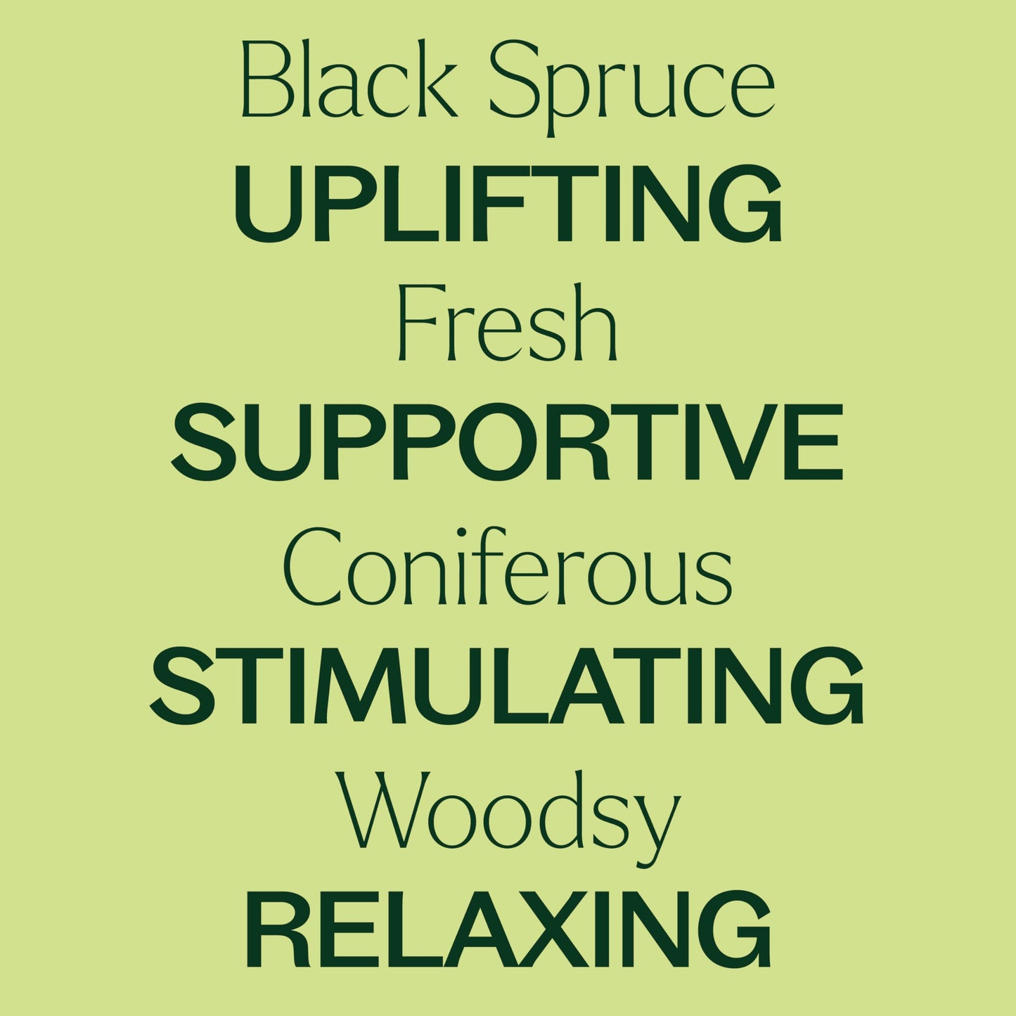 Plant Therapy Black Spruce Essential Oil 10 mL | 100% Pure, Therapeutic Grade