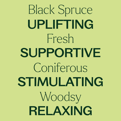 Plant Therapy Black Spruce Essential Oil 10 mL | 100% Pure, Therapeutic Grade
