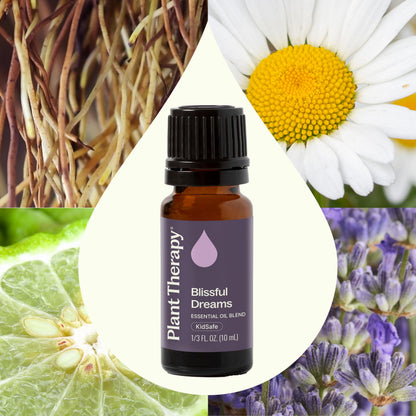 Plant Therapy Blissful Dreams Essential Oil Blend – Relaxation & Rest, 10 mL
