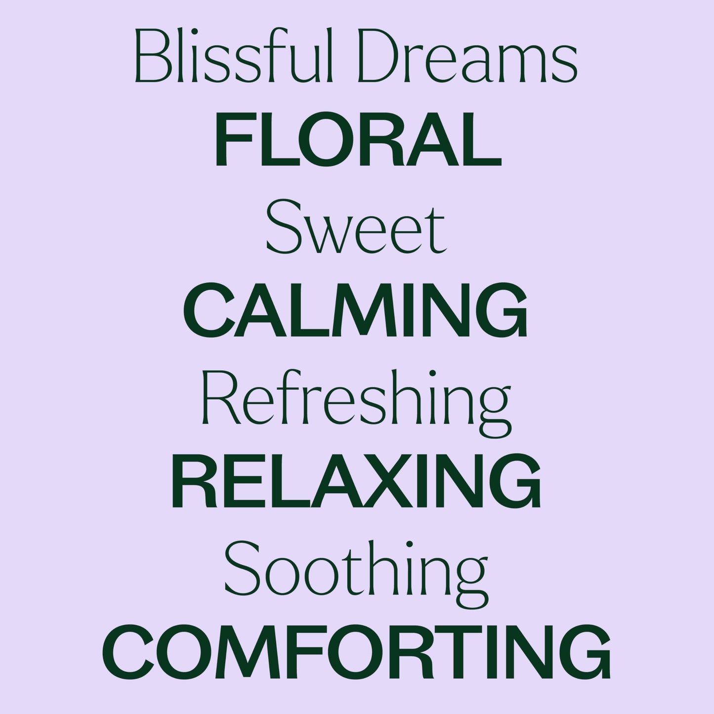 Plant Therapy Blissful Dreams Essential Oil Blend – Relaxation & Rest, 10 mL