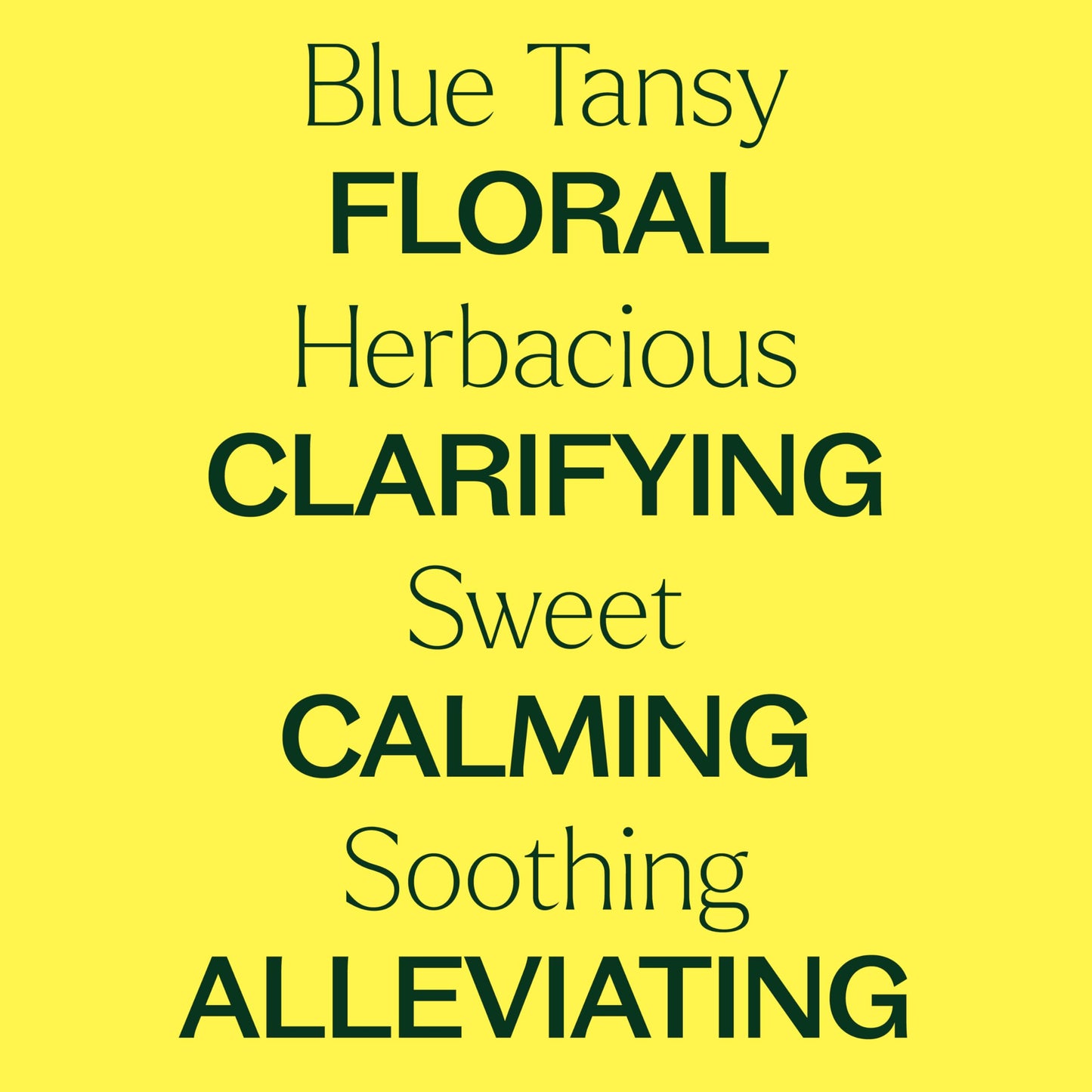 Plant Therapy Blue Tansy Essential Oil 2.5 mL — Pure & Therapeutic Grade