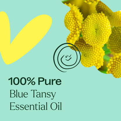 Plant Therapy Blue Tansy Essential Oil 2.5 mL — Pure & Therapeutic Grade