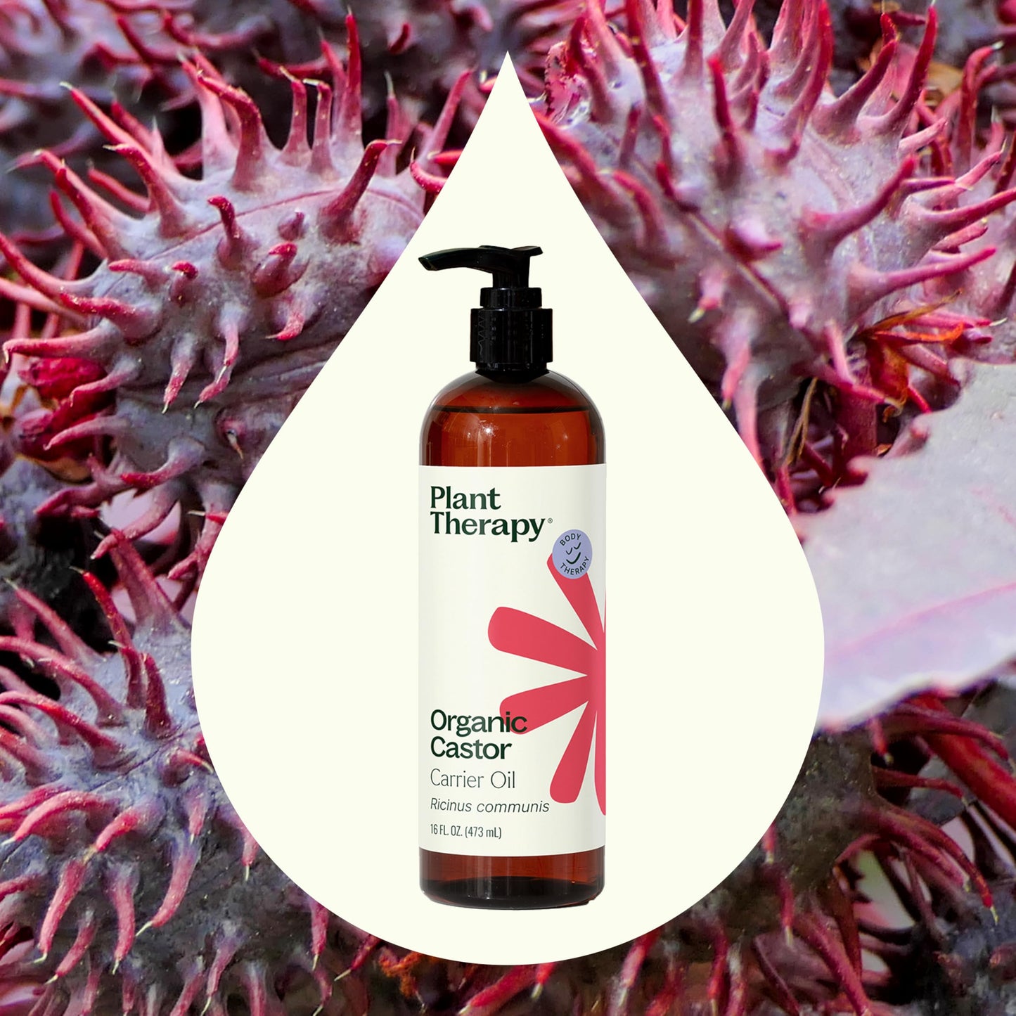 Plant Therapy Castor Oil – USDA Organic, Cold-Pressed, Hexane-Free, 16 oz