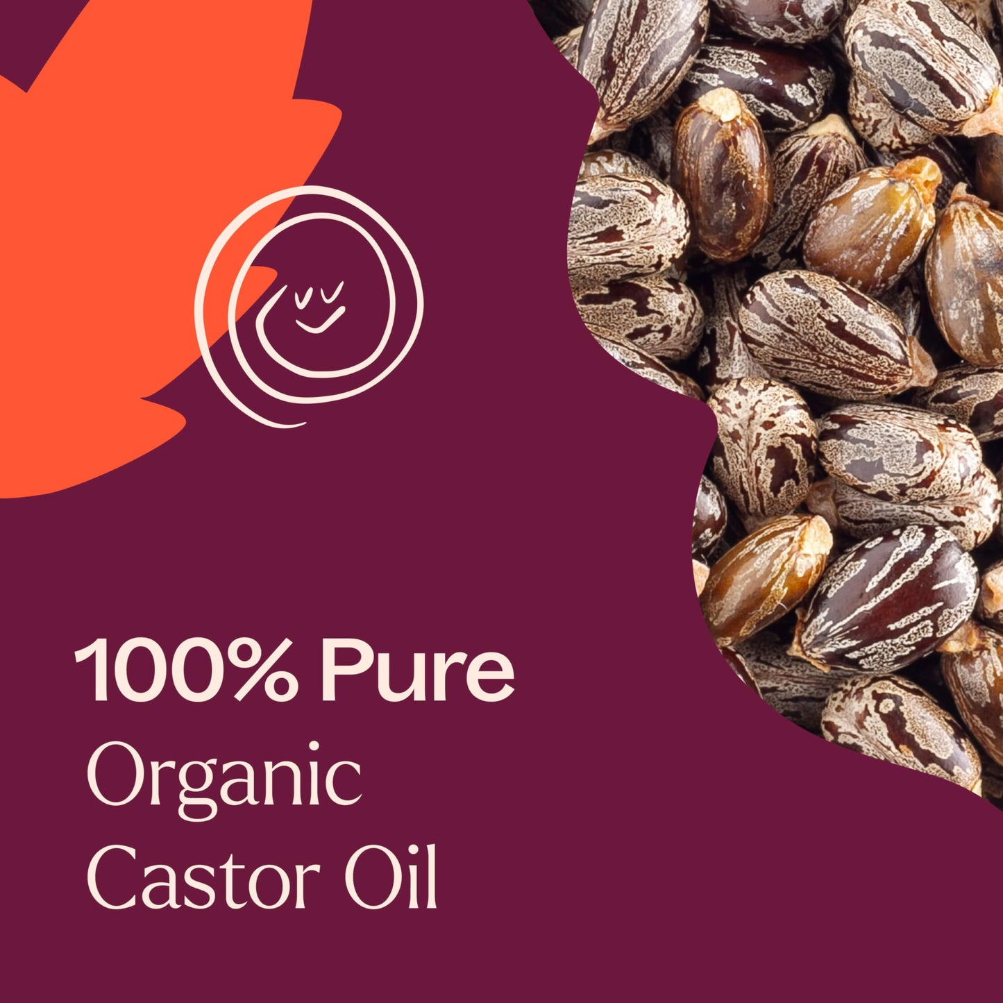 Plant Therapy Castor Oil – USDA Organic, Cold-Pressed, Hexane-Free, 16 oz