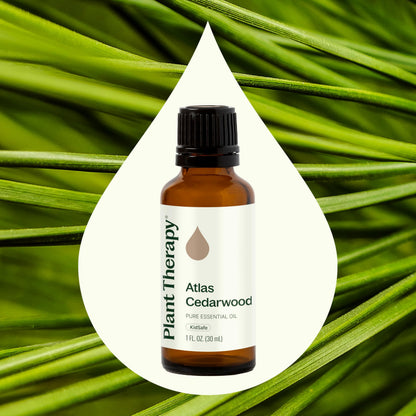 Plant Therapy Atlas Cedarwood Essential Oil 30 mL (1 oz) - 100% Pure & Therapeutic Grade