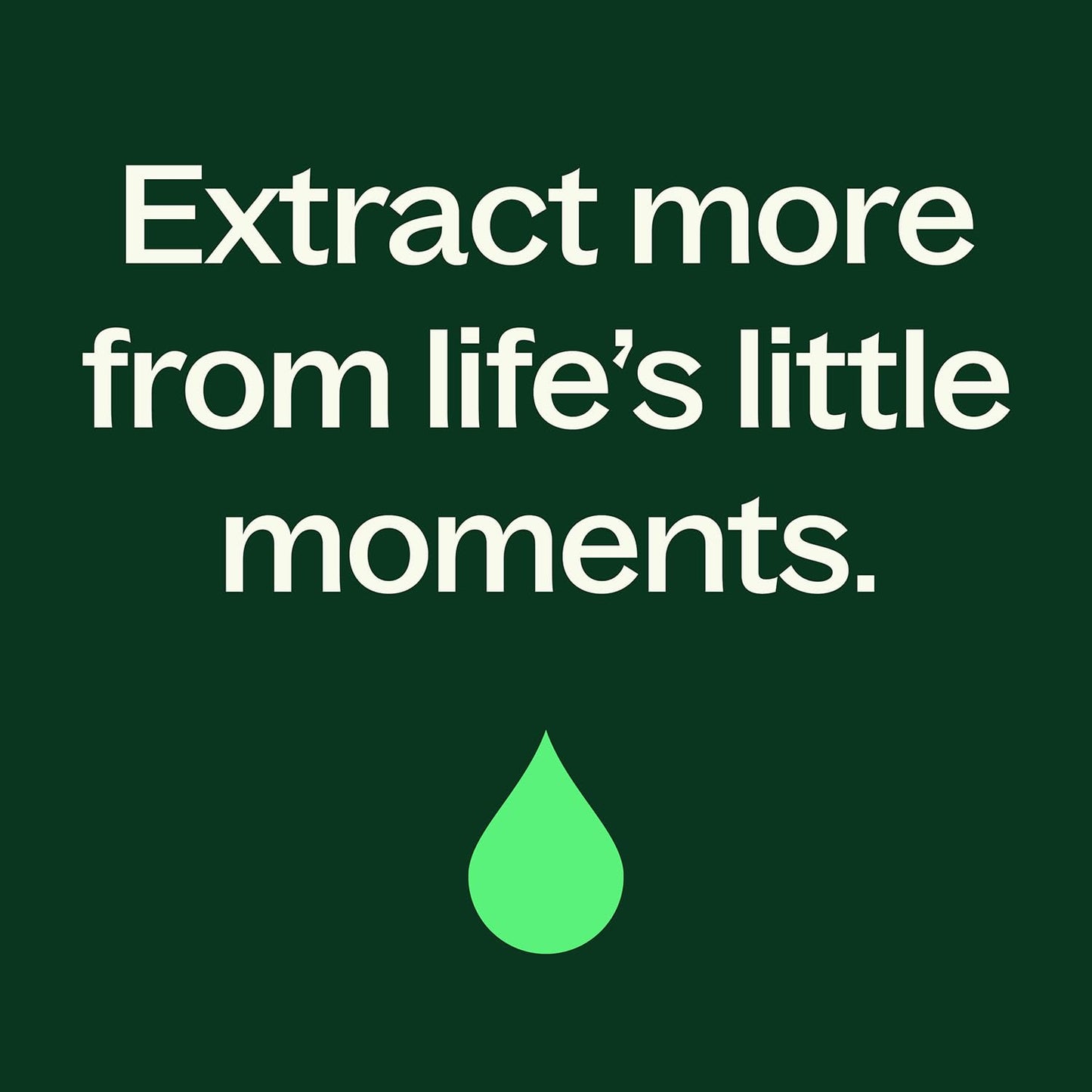 Plant Therapy Clove Bud Organic Essential Oil – 100% Pure, USDA Organic, 10 mL