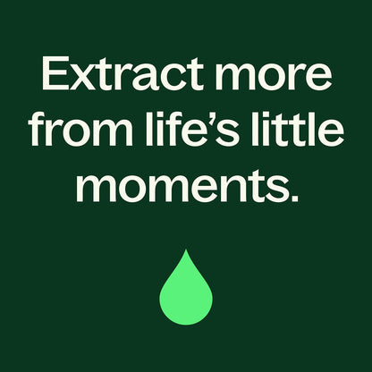 Plant Therapy Clove Bud Organic Essential Oil – 100% Pure, USDA Organic, 10 mL