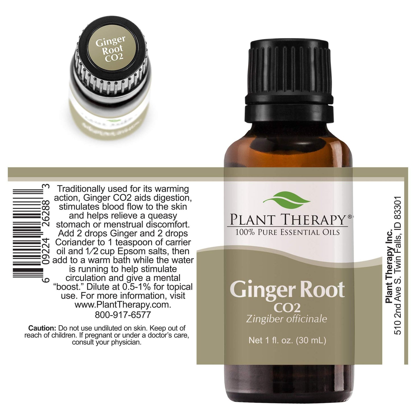 Plant Therapy Ginger Root CO2 Essential Oil – 100% Pure, Therapeutic Grade, 30 mL