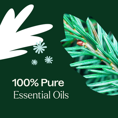 Plant Therapy Christmas Tree Essential Oil Blend 10 mL – Crisp & Refreshing Holiday Scent