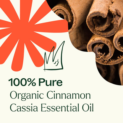 Plant Therapy USDA Organic Cinnamon Cassia Essential Oil 10 mL – 100% Pure, Therapeutic Grade