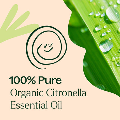 Plant Therapy Citronella Organic Essential Oil – 100% Pure, USDA Certified Organic, Therapeutic Grade, 10 mL (1/3 oz)