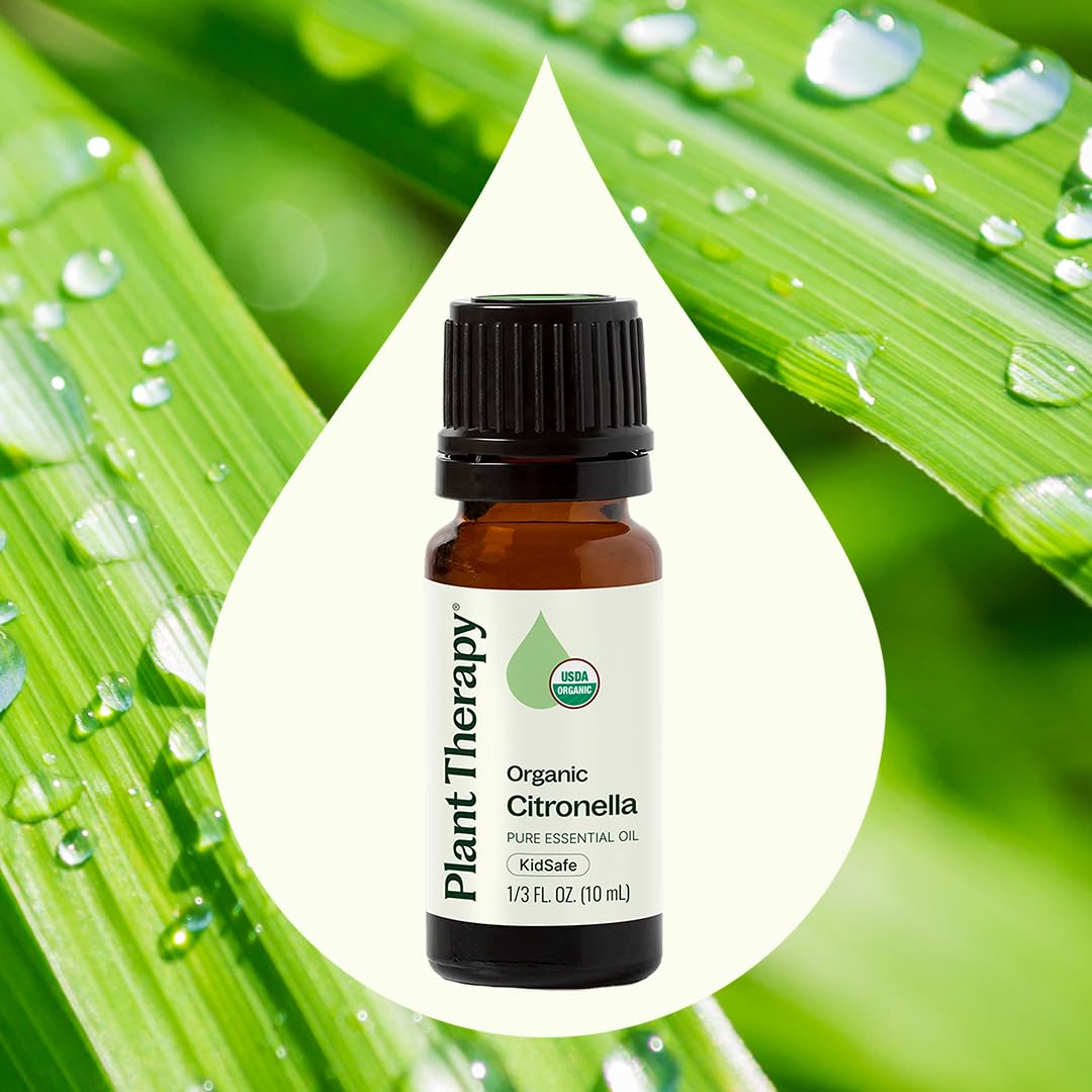 Plant Therapy Citronella Organic Essential Oil – 100% Pure, USDA Certified Organic, Therapeutic Grade, 10 mL (1/3 oz)