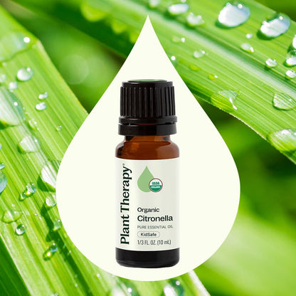 Plant Therapy Citronella Organic Essential Oil – 100% Pure, USDA Certified Organic, Therapeutic Grade, 10 mL (1/3 oz)