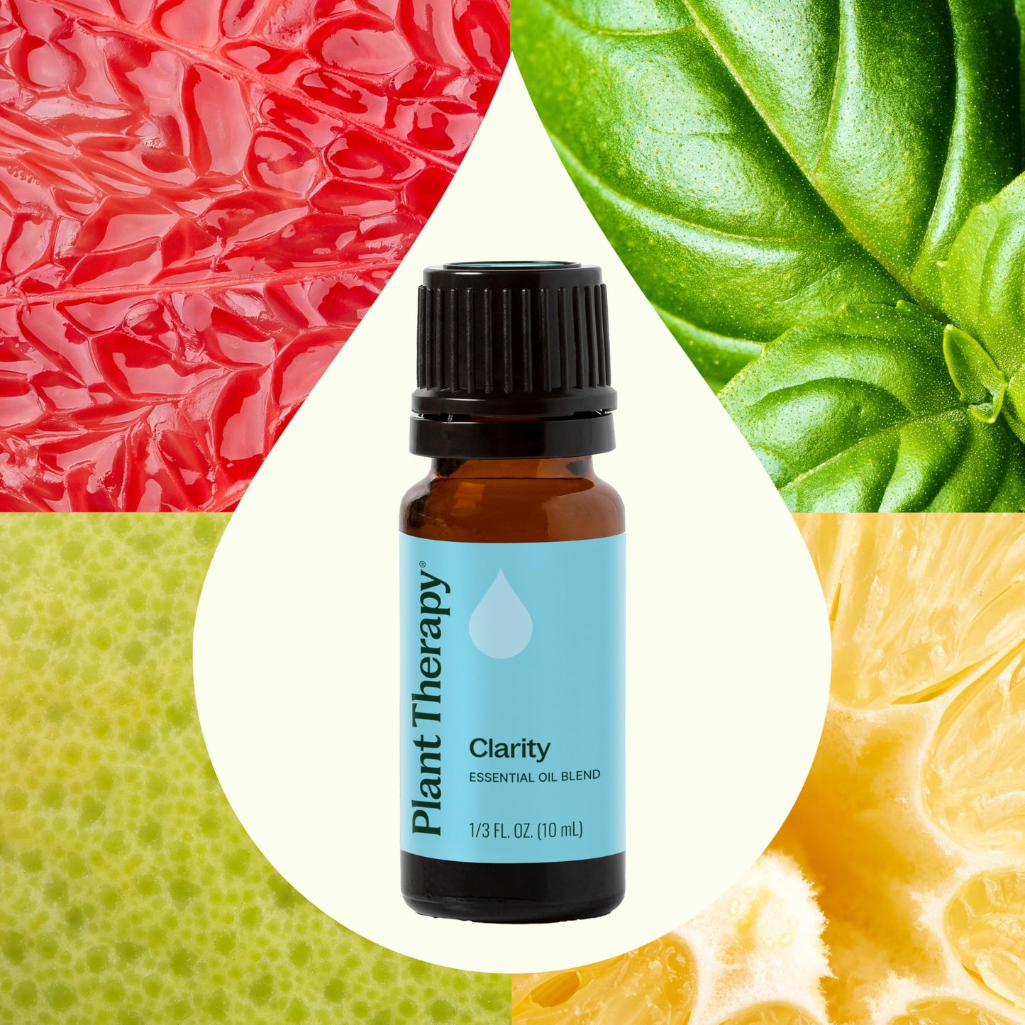 Plant Therapy Clarity Essential Oil Blend 10 mL – Pack of 2, 100% Pure & Undiluted
