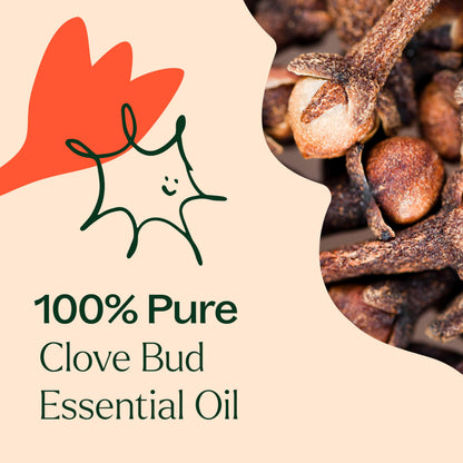 Plant Therapy Clove Bud Essential Oil 100% Pure & Undiluted - Therapeutic Grade, 10 mL