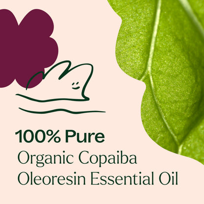 Plant Therapy Copaiba Oleoresin Organic Essential Oil – 100% Pure (10 mL)