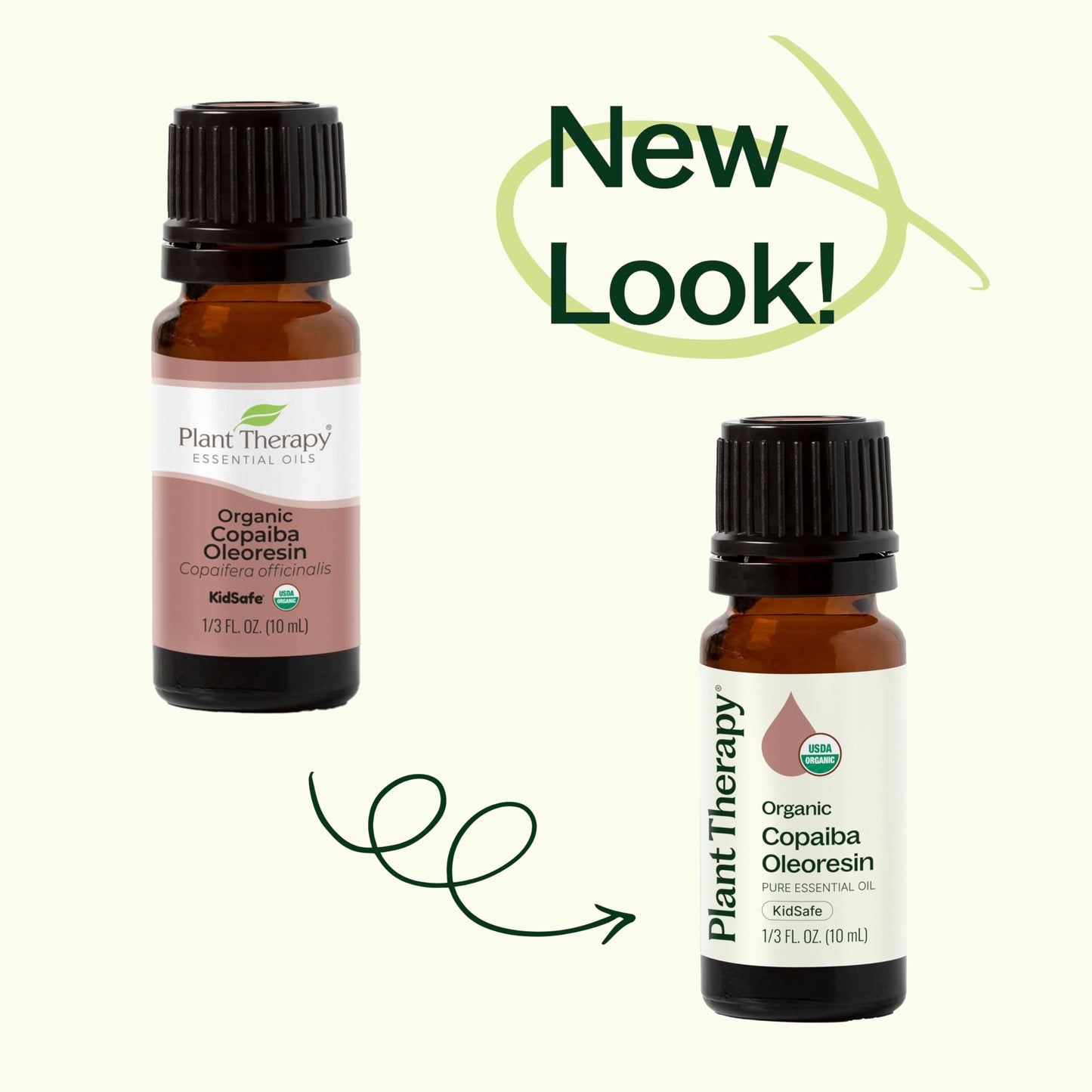 Plant Therapy Copaiba Oleoresin Organic Essential Oil – 100% Pure (10 mL)