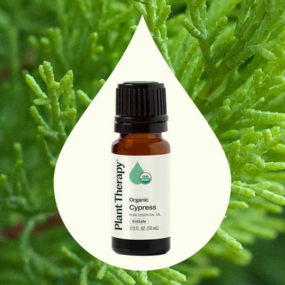 Plant Therapy Organic Cypress Essential Oil 10 mL (1/3 oz) – 100% Pure, Undiluted, Therapeutic Grade