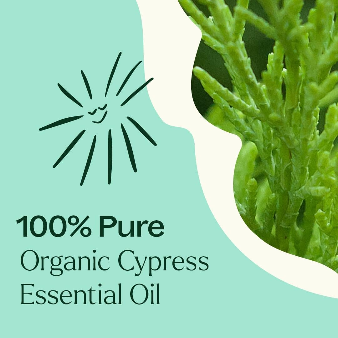 Plant Therapy Organic Cypress Essential Oil 10 mL (1/3 oz) – 100% Pure, Undiluted, Therapeutic Grade