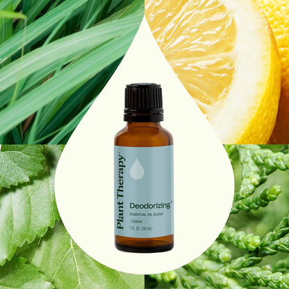 Plant Therapy Deodorizing Essential Oil Blend 30 mL – 100% Pure