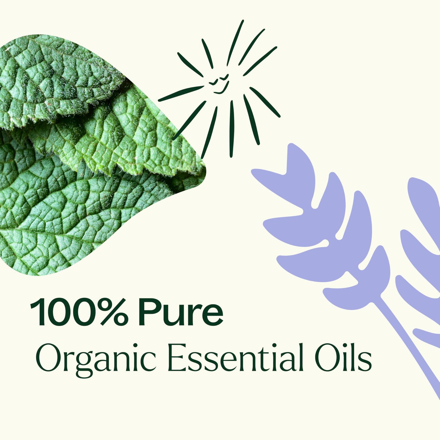Plant Therapy Organic Essential Oil Singles Set - Lemon, Lavender & Peppermint (10 mL)