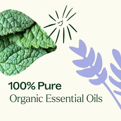 Plant Therapy Organic Essential Oil Singles Set - Lemon, Lavender & Peppermint (10 mL)