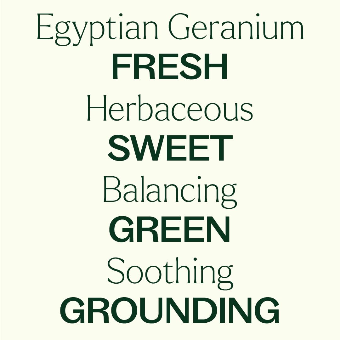 Plant Therapy Organic Egyptian Geranium Essential Oil - 100% Pure, USDA Certified Organic, 5 mL