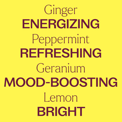 Plant Therapy Energize Shower Steamer Mist - 4 oz | Aromatherapy Spray for Energy