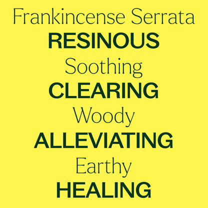 Plant Therapy Organic Frankincense Serrata Essential Oil – 100% Pure, USDA Certified Organic, Undiluted, Therapeutic Grade 10 mL