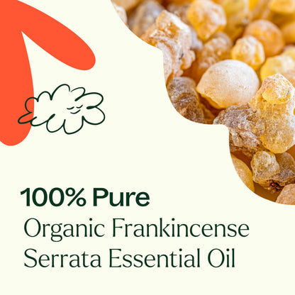 Plant Therapy Organic Frankincense Serrata Essential Oil – 100% Pure, USDA Certified Organic, Undiluted, Therapeutic Grade 10 mL