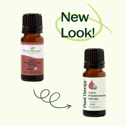 Plant Therapy Organic Frankincense Serrata Essential Oil – 100% Pure, USDA Certified Organic, Undiluted, Therapeutic Grade 10 mL