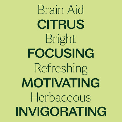 Brain Aid Essential Oil Blend for Focus & Attention – Plant Therapy 10 mL