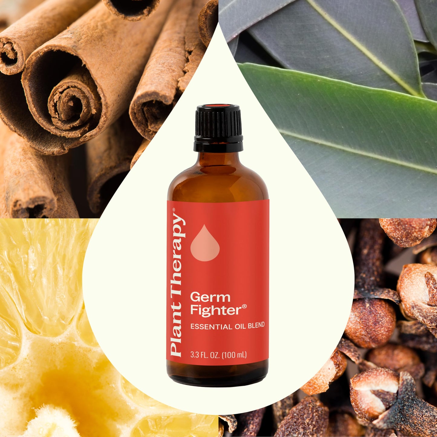 Plant Therapy Germ Fighter Essential Oil Blend – 100 mL (3.3 oz) | 100% Pure, Therapeutic Grade