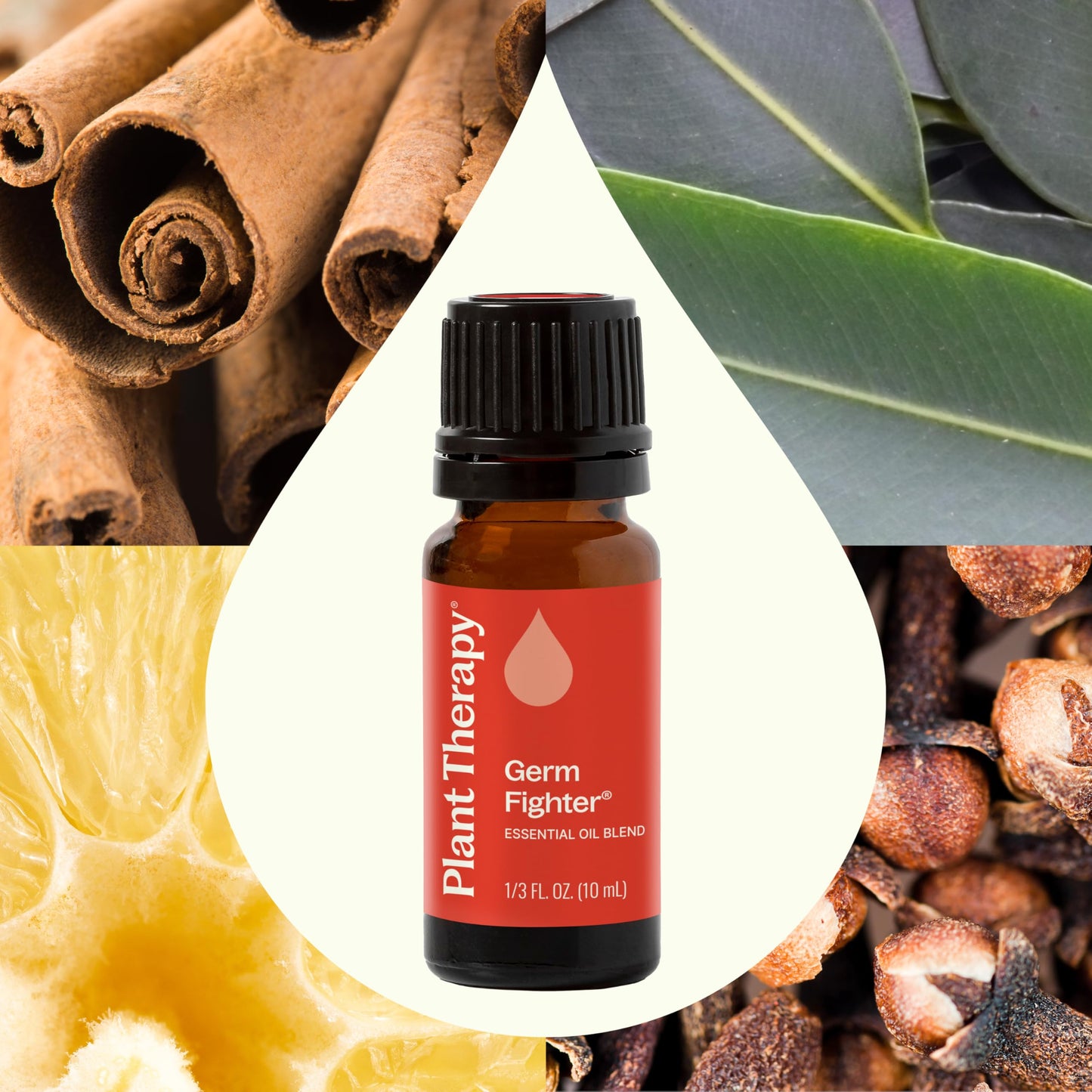 Plant Therapy Germ Fighter Essential Oil Blend – Immune Support, Diffuser & Topical, 10 mL