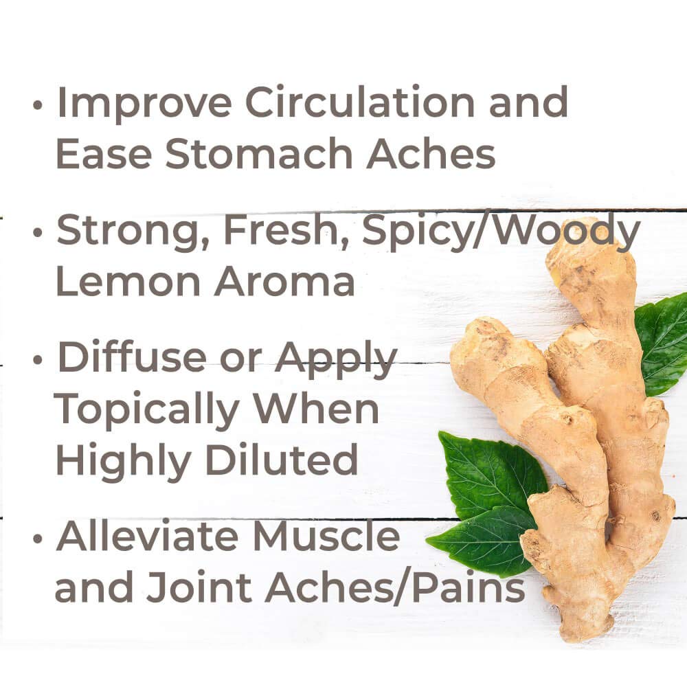 Plant Therapy Ginger Root CO2 Essential Oil – 100% Pure, Therapeutic Grade, 30 mL