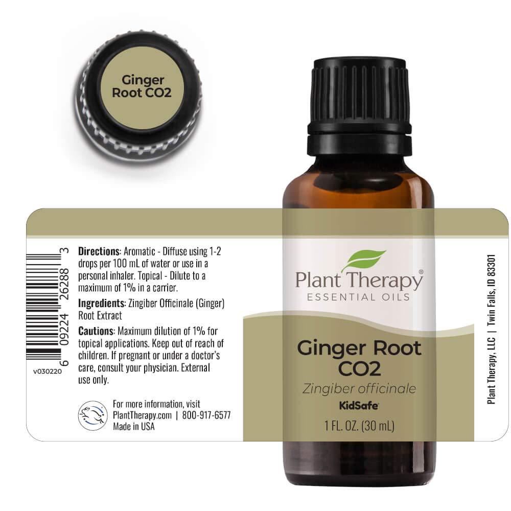 Plant Therapy Ginger Root CO2 Essential Oil – 100% Pure, Therapeutic Grade, 30 mL